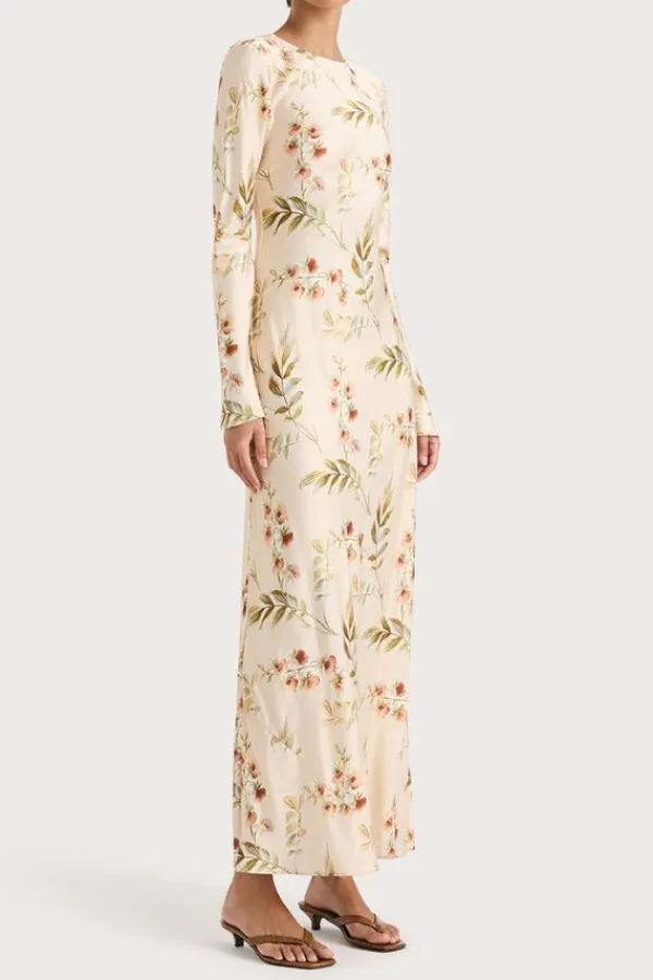 Dresses><noscript><img width=