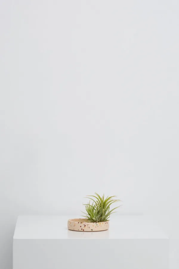 Home>Capra Designs Small Terrazzo Tray