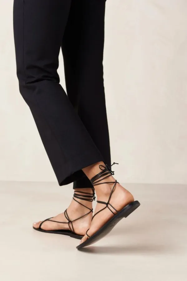 Shoes><noscript><img width=