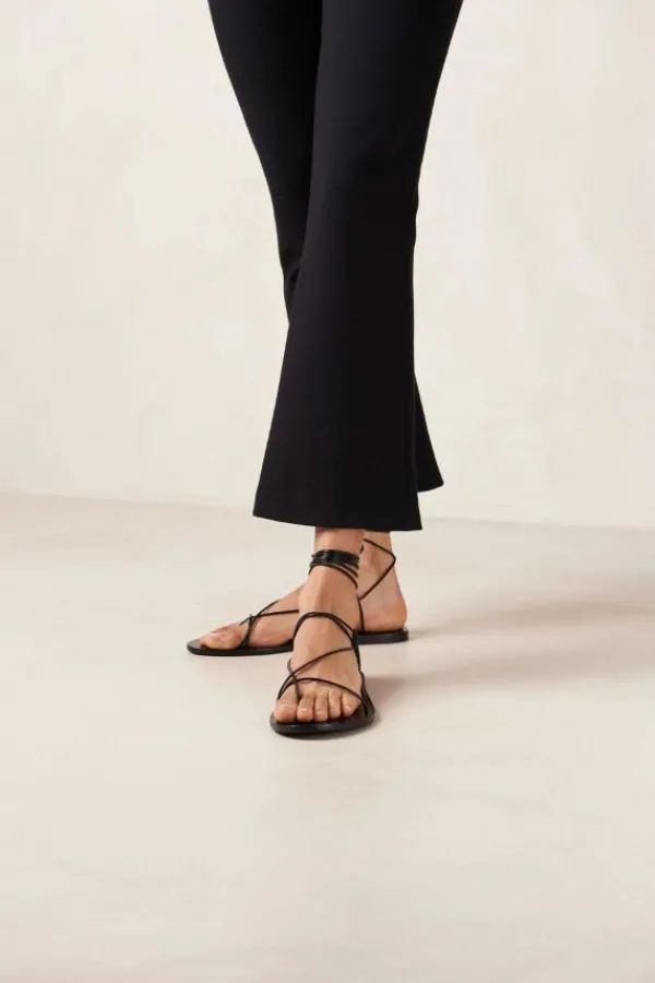 Shoes><noscript><img width=