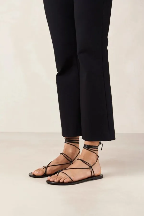 Shoes><noscript><img width=