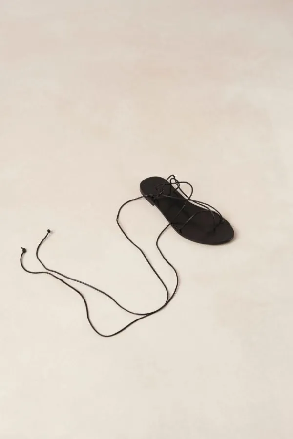 Shoes><noscript><img width=